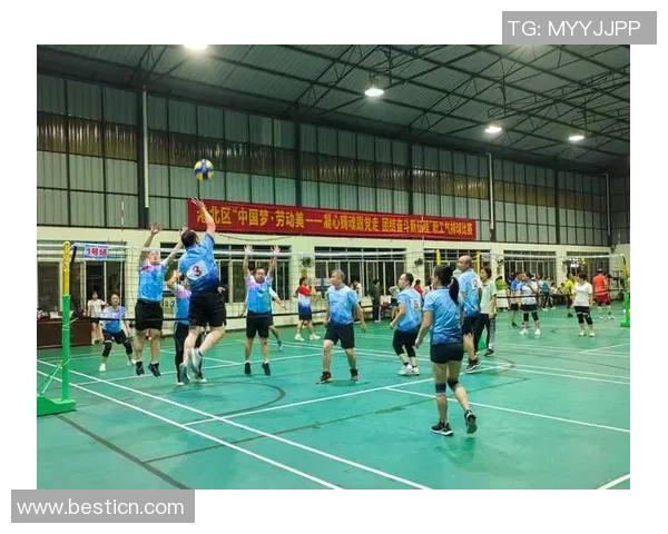 深度对话：探寻杨军在排球世界中的奋斗与成长之路